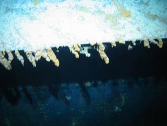 Concealment flap for above-water torpedo tubes on stbd side